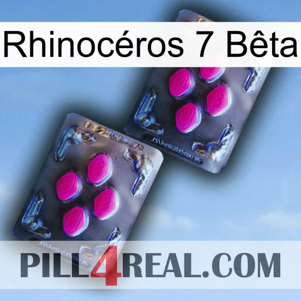 Rhinocéros 7 Bêta 01